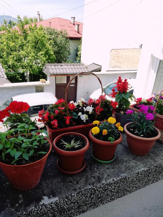 Apartman Ohren ซาราเยโว ภายนอก รูปภาพ