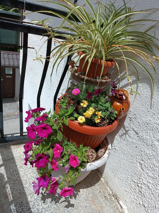 Apartman Ohren ซาราเยโว ภายนอก รูปภาพ